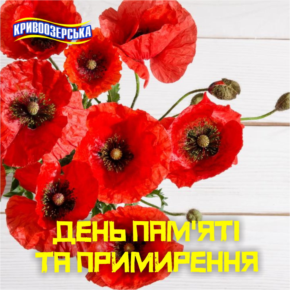 Прев'ю картинка для новини - День пам'яті та примирення